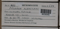 Image Associated With the Occurence
